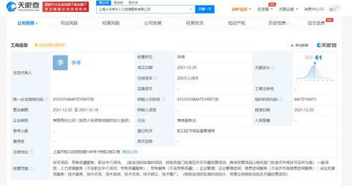 上海信息咨詢服務 數字化浪潮下的智慧樞紐
