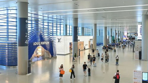 東航發布最新退改簽政策，上海機場為旅客提供不間斷信息咨詢服務